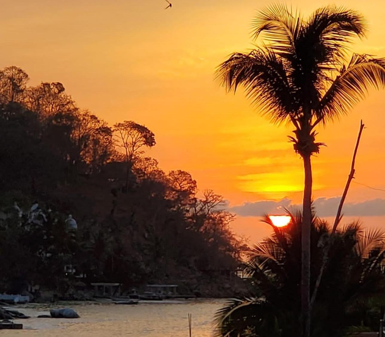 Villa La Sirena Puerto Vallarta Oda fotoğraf