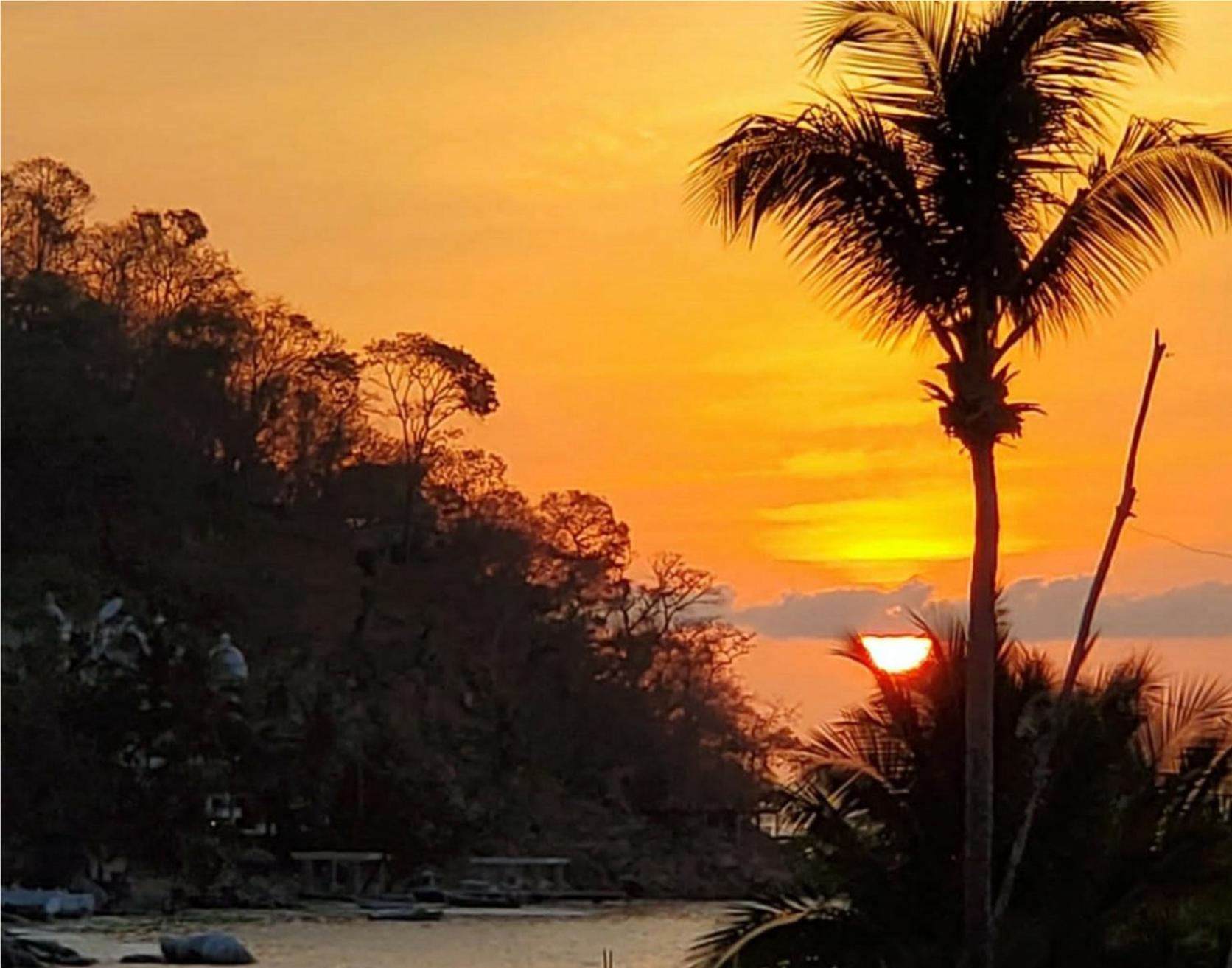 Villa La Sirena Puerto Vallarta Oda fotoğraf